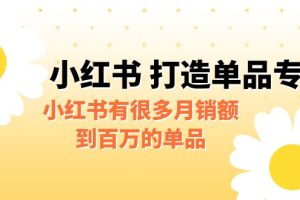 [小红书　]某公众号付费文章《小红书 打造单品专家》小红书有很多月销额到百万的单品