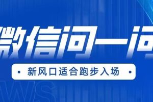 全网首发微信问一问新风口变现项目（价值1999元）