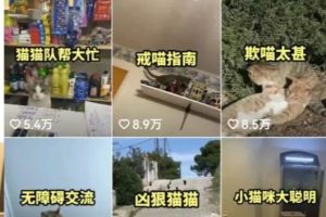 [抖音快手]拆解：抖音盘点类中视频变现副业项目，视频版一条龙大解析分享给你