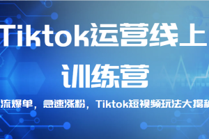 Tiktok运营线上训练营，引流爆单，急速涨粉，Tiktok短视频玩法大揭秘！