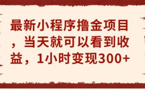 最新小程序撸金项目，当天就可以看到收益，1小时变现300+