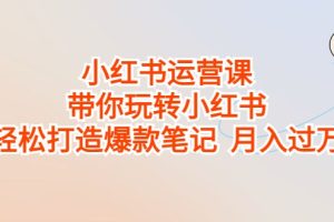 小红书运营课，带你玩转小红书，轻松打造爆款笔记 月入过万