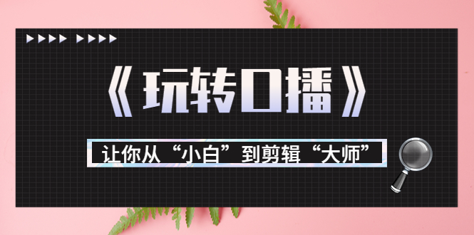 月营业额700万+大佬教您《玩转口播》让你从“小白”到剪辑“大师”