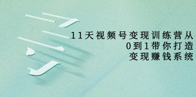 11天视频号变现训练营，从0到1打造变现赚钱系统（价值398元）