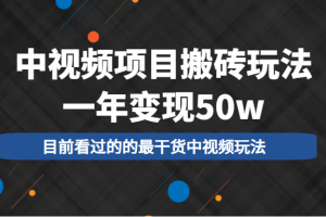 中视频项目搬砖玩法，一年变现50w，目前看过的的最干货中视频玩法