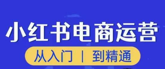 顽石小红书电商高阶运营课程，从入门到精通，玩法流程持续更新