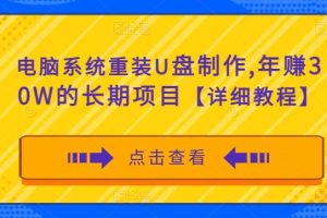 电脑系统重装U盘制作，年赚30W的长期项目【详细教程】