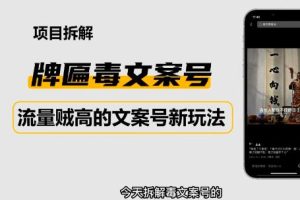 2023抖音快手毒文案新玩法，牌匾文案号，起号快易变现