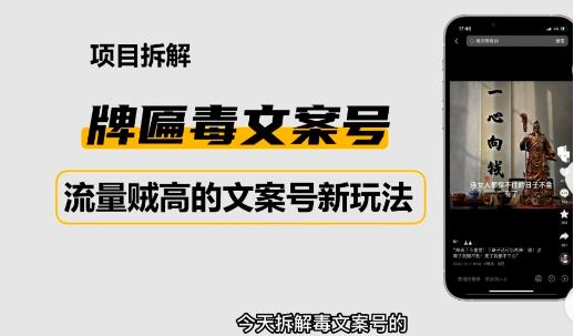 2023抖音快手毒文案新玩法，牌匾文案号，起号快易变现