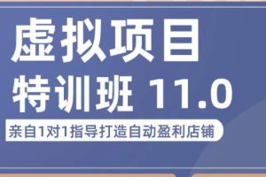 陆明明·虚拟项目特训班（10.0+11.0），0成本获取虚拟素材，0基础打造自动盈利店铺