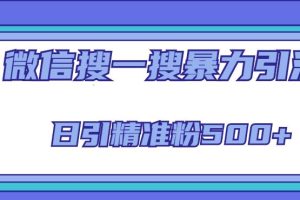 微信搜一搜引流全系列课程，日引精准粉500+（8节课）