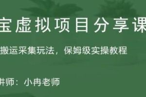 淘宝虚拟整店搬运采集玩法分享课：整店搬运采集玩法，保姆级实操教程