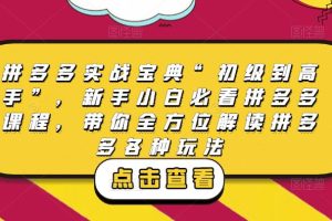 拼多多实战宝典“初级到高手”，新手小白必看拼多多课程，带你全方位解读拼多多各种玩法