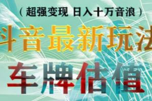 抖音最新无人直播变现直播车牌估值玩法项目，轻松日赚几百+【详细玩法教程】