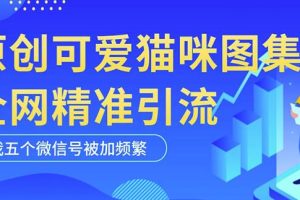 黑科技纯原创可爱猫咪图片，全网精准引流，实操5个VX号被加频繁