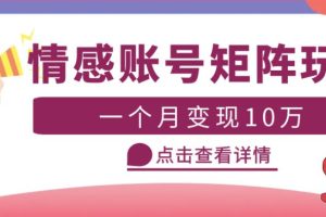 云天情感账号矩阵项目，简单操作，月入10万+可放大（教程+素材）