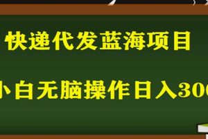 2023最新蓝海快递代发项目，小白零成本照抄也能日入300+