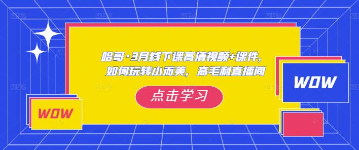 哈哥·3月线下实操课高清视频+课件，如何玩转小而美，高毛利直播间