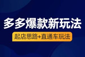 海神·多多爆款新玩法，​起店思路+直通车玩法（3节精华课）