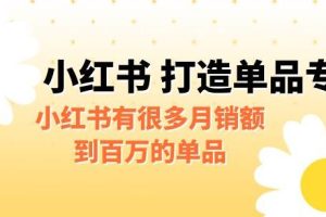 某公众号付费文章《小红书打造单品专家》小红书有很多月销额到百万的单品