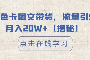 小红书色卡图文带货，流量引爆单人月入20W+【揭秘】