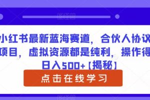 小红书最新蓝海赛道，合伙人协议书项目，虚拟资源都是纯利，操作得当日入500+【揭秘】