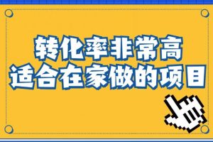 小红书虚拟电商项目：从小白到精英（视频课程+交付手册）