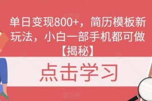 单日变现800+，简历模板新玩法，小白一部手机都可做【揭秘】