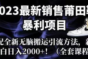 2023最新销售莆田鞋暴利项目，搭配全新无脑搬运引流方法，新手小白日入2000+【揭秘】