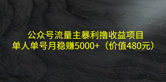 （4011期）公众号流量主暴利撸收益项目，单人单号月稳赚5000+（价值480元）