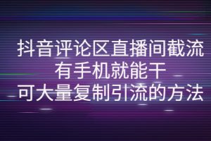 （4074期）抖音评论区直播间截流，有手机就能干，可大量复制引流的方法[中创网]