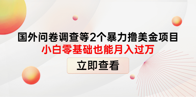 （4062期）国外问卷调查等2个暴力撸美金项目，小白零基础也能月入过万