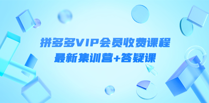 （4127期）某社群·拼多多VIP会员收费课程，最新集训营+答疑课-价值3299元