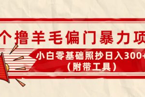 （4110期）外面卖998的三个撸羊毛偏门暴力项目，小白零基础照抄日入300+（附带工具）[中创网]