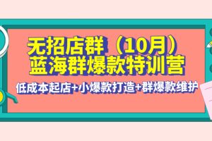 （4182期）无招店群·蓝海群爆款特训营(10月新课) 低成本起店+小爆款打造+群爆款维护[中创网]