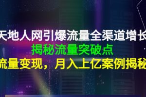 （4173期）天地人网引爆流量全渠道增长：揭秘流量突然破点，流量变现，月入上亿案例[中创网]