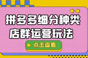 （4373期）拼多多细分种类店群运营玩法3.0，11月最新玩法，小白也可以操作[中创网]