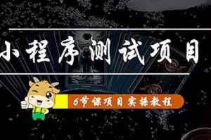 （4226期）小程序测试项目 从星图 搞笑 网易云 实拍 单品爆破 抖音抖推猫小程序变现[中创网]