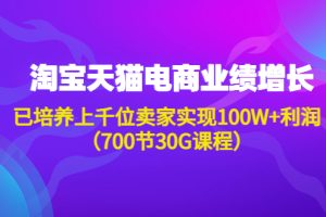 （4409期）淘系天猫电商业绩增长：已培养上千位卖家实现100W+利润（700节30G课程）[中创网]