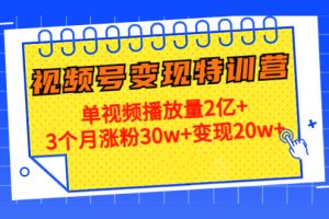 （4455期）20天视频号变现特训营：单视频播放量2亿+3个月涨粉30w+变现20w+[中创网]