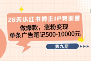 （4267期）28天小红书博主IP特训营《第9期》做爆款，涨粉变现 单条广告笔记500-10000[中创网]