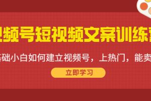 （4266期）视频号短视频文案训练营：0基础小白如何建立视频号，上热门，能卖货！[中创网]