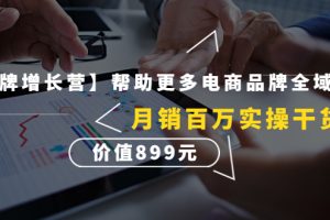 （4264期）【王牌增长营】帮助更多电商品牌全域增长，月销百万实操干货，价值899元[中创网]