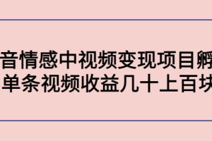 （4282期）黄岛主副业孵化营第5期：抖音情感中视频变现项目孵化 单条视频收益几十上百[中创网]