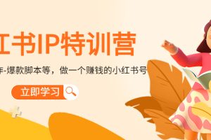 （4521期）小红书IP特训营：从搭建-制作-爆款脚本等等，做一个赚钱的小红书号[中创网]