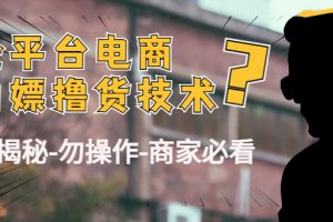 （4515期）外面收费2980的全平台电商白嫖撸货技术（仅揭秘-勿操作-商家必看）[中创网]