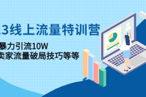 （4567期）2023线上流量特训营：包含暴力引流10W+中小卖家流量破局技巧等等[中创网]