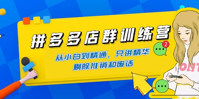 （4318期）拼多多店群训练营：从小白到精通，只讲精华，剔除推销和废话