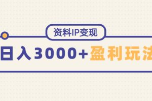 （4576期）资料IP变现，能稳定日赚3000起的持续性盈利玩法[中创网]