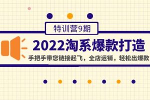 （4334期）2022淘系爆款打造特训营9期：手把手带您链接起飞，全店运销，轻松出爆款[中创网]